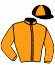 casaque portée par Brossard N. R. jockey du cheval de course GRISBI DE CARVEL, information pmu ZETURF