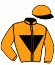 casaque portée par Guyon M. jockey du cheval de course NIKOLAJ, information pmu ZETURF