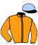 casaque portée par Guyon M. jockey du cheval de course LEPSA, information pmu ZETURF
