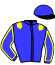 casaque portée par Mingant M. jockey du cheval de course FEU SACRE, information pmu ZETURF casaque portée par Mingant M. jockey du cheval de course FEU SACRE, information pmu ZETURF