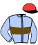 casaque portée par Brochard M. jockey du cheval de course MISS GARENNES, information pmu ZETURF casaque portée par Brochard M. jockey du cheval de course MISS GARENNES, information pmu ZETURF