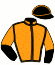 casaque portée par Charlot M. X. jockey du cheval de course JUNTA DES THIRONS, information pmu ZETURF casaque portée par Charlot M. X. jockey du cheval de course JUNTA DES THIRONS, information pmu ZETURF