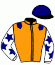 casaque portée par Langlois N. jockey du cheval de course HAVE A LOVE, information pmu ZETURF