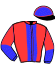 casaque portée par Vidotto E. jockey du cheval de course HELP GIBUS, information pmu ZETURF casaque portée par Vidotto E. jockey du cheval de course HELP GIBUS, information pmu ZETURF