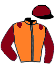 casaque portée par Zuliani L. jockey du cheval de course HIGH HOPE, information pmu ZETURF
