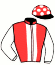 casaque portée par Seguy V. jockey du cheval de course FEDYANE, information pmu ZETURF