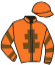 casaque portée par Veron F. jockey du cheval de course HAPPY DAYS, information pmu ZETURF