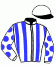 casaque portée par Mendizabal I. jockey du cheval de course AMEERA AL SHAHANIA, information pmu ZETURF