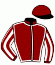 casaque portée par Romary Mlle M. jockey du cheval de course PIANO MAN, information pmu ZETURF