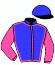 casaque portée par Relano Sieira Mme R. jockey du cheval de course SEAGALI, information pmu ZETURF