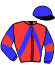 casaque portée par Le Geay Mme Lar. jockey du cheval de course NOTRE HISTOIRE, information pmu ZETURF
