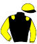 casaque portée par Sabourdy D. jockey du cheval de course FASTER WIC, information pmu ZETURF