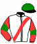 casaque portée par Fossey A. M. jockey du cheval de course GATSBY, information pmu ZETURF