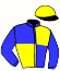 casaque portée par Marty F. jockey du cheval de course JASMIN MERITE, information pmu ZETURF