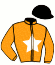 casaque portée par Langlois C. jockey du cheval de course HELLEA JELMA, information pmu ZETURF casaque portée par Langlois C. jockey du cheval de course HELLEA JELMA, information pmu ZETURF