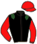 casaque portée par Foulon M. jockey du cheval de course BALKA EL KHIR, information pmu ZETURF casaque portée par Foulon M. jockey du cheval de course BALKA EL KHIR, information pmu ZETURF