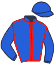 casaque portée par Blot P. jockey du cheval de course EDWARDS DU LIA, information pmu ZETURF