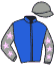 casaque portée par Dousset Y. jockey du cheval de course LIBERTY, information pmu ZETURF