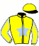 casaque portée par Ouvrie F. jockey du cheval de course GUNNAR SUEDOIS (FR), information pmu ZETURF