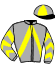 casaque portée par Barre A. jockey du cheval de course FALINE D'ECROVILLE (FR), information pmu ZETURF