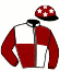 casaque portée par Berto M. jockey du cheval de course HEVEA DE THAIX (AQ), information pmu ZETURF