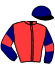casaque portée par Seguy V. jockey du cheval de course KADNIKOV (FR), information pmu ZETURF