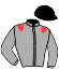 casaque portée par Bonet J. B. jockey du cheval de course GRAND CANYON ACE, information pmu ZETURF