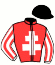 casaque portée par Nail-rocher V. jockey du cheval de course GINO DU POITOU (FR), information pmu ZETURF