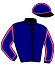 casaque portée par Denis L. G. jockey du cheval de course IRSLO (FR), information pmu ZETURF