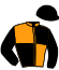 casaque portée par Blot P. jockey du cheval de course ALL GOLD (FR), information pmu ZETURF