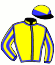 casaque portée par Defontaine Q. jockey du cheval de course ICARE D'ILLIAT (FR), information pmu ZETURF