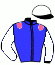 casaque portée par Veron F. jockey du cheval de course AUTUMN PRIDE, information pmu ZETURF