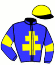 casaque portée par Callier Mlle E. jockey du cheval de course GALLIA DU LINAIS, information pmu ZETURF casaque portée par Callier Mlle E. jockey du cheval de course GALLIA DU LINAIS, information pmu ZETURF