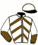 casaque portée par Verriere L. jockey du cheval de course HARPIE GIBUS, information pmu ZETURF