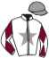 casaque portée par Velon Mlle M. jockey du cheval de course PATZESTEVE, information pmu ZETURF