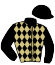 casaque portée par Lecoeuvre C. jockey du cheval de course MARIA THE GREAT, information pmu ZETURF