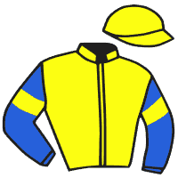 casaque portée par Le Gland Mlle C. jockey du cheval de course HYGROVE BEC, information pmu ZETURF