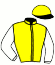 casaque portée par Lemaitre A. jockey du cheval de course DALKAVA, information pmu ZETURF