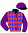 casaque portée par Gilard G. jockey du cheval de course FILOU DU RAVARY, information pmu ZETURF casaque portée par Gilard G. jockey du cheval de course FILOU DU RAVARY, information pmu ZETURF