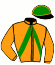 casaque portée par Collette A. jockey du cheval de course JOY DE PENGUEN, information pmu ZETURF