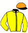 casaque portée par Hardy S. jockey du cheval de course KEMER SI, information pmu ZETURF casaque portée par Hardy S. jockey du cheval de course KEMER SI, information pmu ZETURF