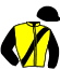 casaque portée par Abrivard M. jockey du cheval de course IGNACE DE BAUBRIE, information pmu ZETURF