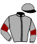 casaque portée par Duporte Mme A. jockey du cheval de course FASTER, information pmu ZETURF casaque portée par Duporte Mme A. jockey du cheval de course FASTER, information pmu ZETURF