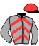 casaque portée par Gavilan Ale. jockey du cheval de course SWING CITY, information pmu ZETURF casaque portée par Gavilan Ale. jockey du cheval de course SWING CITY, information pmu ZETURF