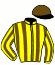 casaque portée par Molins Mme Amb. jockey du cheval de course AUEN ADVENTURE, information pmu ZETURF