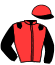 casaque portée par Foresi F. jockey du cheval de course SECOND TO NONE, information pmu ZETURF casaque portée par Foresi F. jockey du cheval de course SECOND TO NONE, information pmu ZETURF