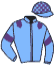 casaque portée par Lecoeuvre C. jockey du cheval de course CARPE DIEM, information pmu ZETURF
