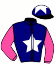 casaque portée par Boutin Hug. jockey du cheval de course MISS CHACHA, information pmu ZETURF