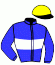 casaque portée par Marie Benj. jockey du cheval de course GALGAN, information pmu ZETURF casaque portée par Marie Benj. jockey du cheval de course GALGAN, information pmu ZETURF