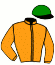 casaque portée par Berge C. jockey du cheval de course KANZASHI, information pmu ZETURF casaque portée par Berge C. jockey du cheval de course KANZASHI, information pmu ZETURF